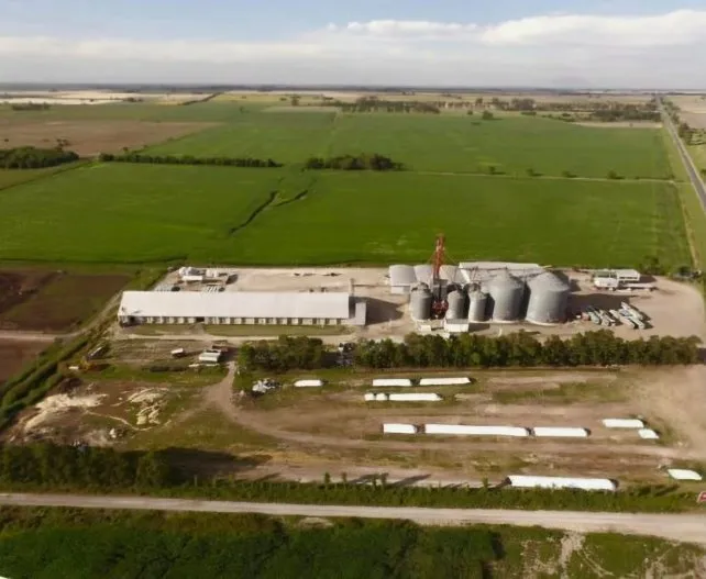 99